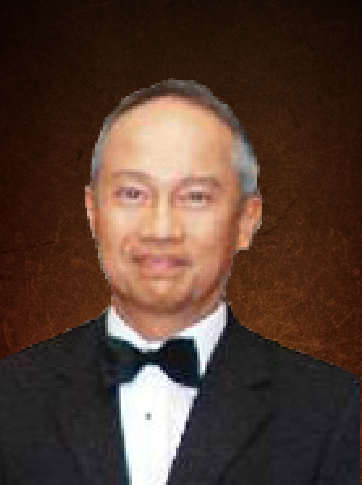 ENCIK AHMAD KAMAL BIN TUN ISMAIL